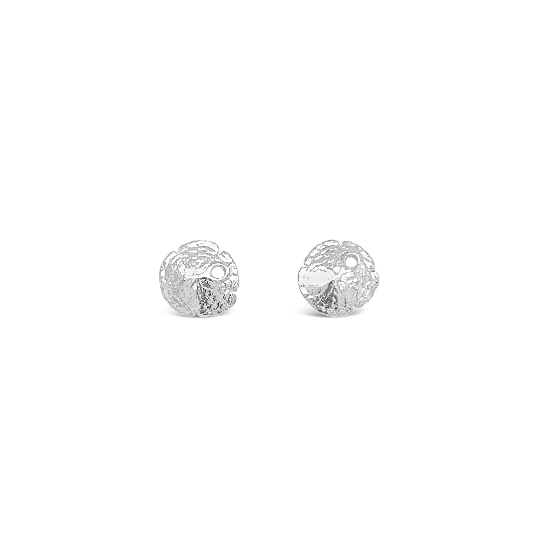 Petite Sand Dollar Earrings