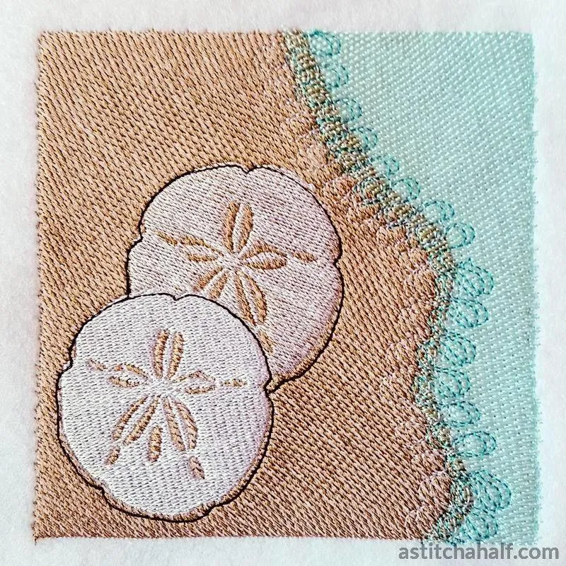 Sand Dollar