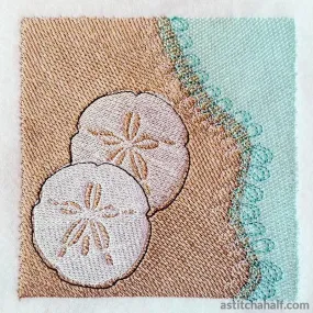 Sand Dollar